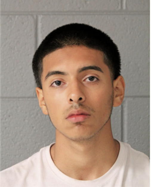 ALEJANDRO GONZALEZ, Cook County, Illinois