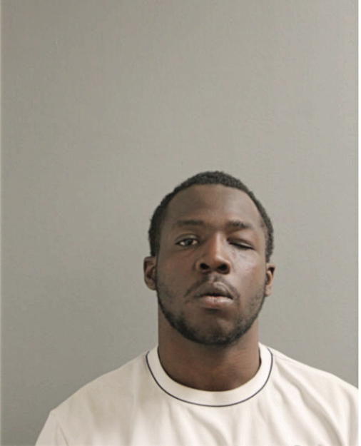 BOBBY J GOODMAN JR., Cook County, Illinois