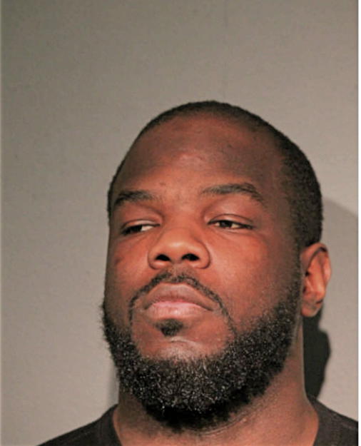 MICHAEL J JONES, Cook County, Illinois