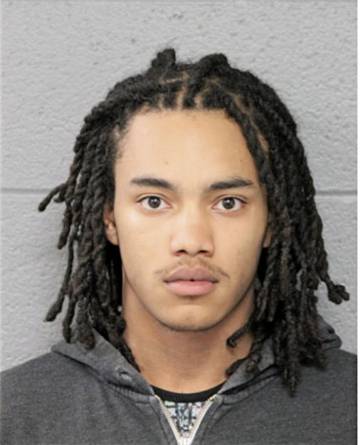 ROMEO M LEWIS, Cook County, Illinois