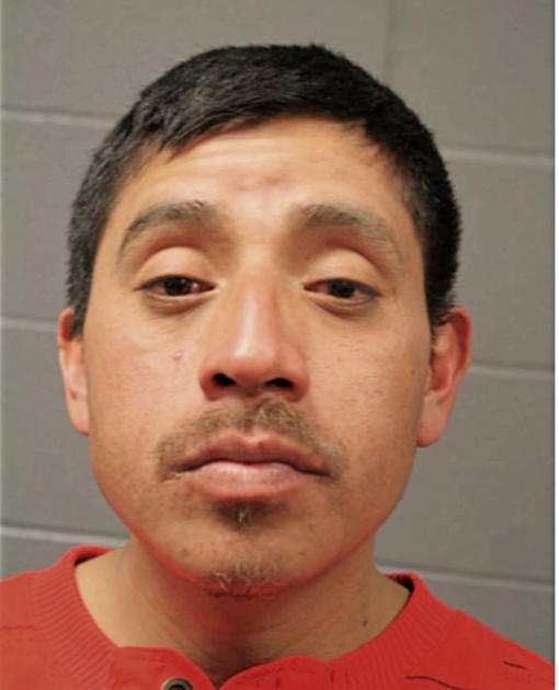 MANUEL MARMOLEJO, Cook County, Illinois