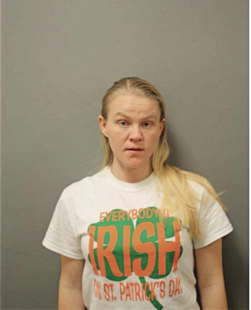 JESSICA L MINK, Cook County, Illinois