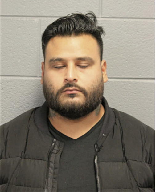 SESAR NAVARRETTE, Cook County, Illinois