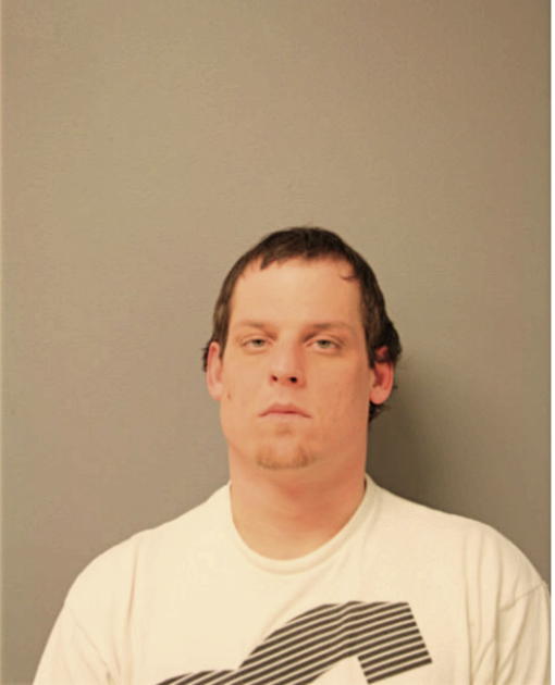 STEVEN J NICHOLSON, Cook County, Illinois