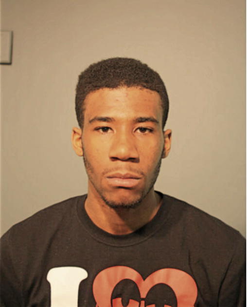 SAMUAL OGUNLEYE, Cook County, Illinois