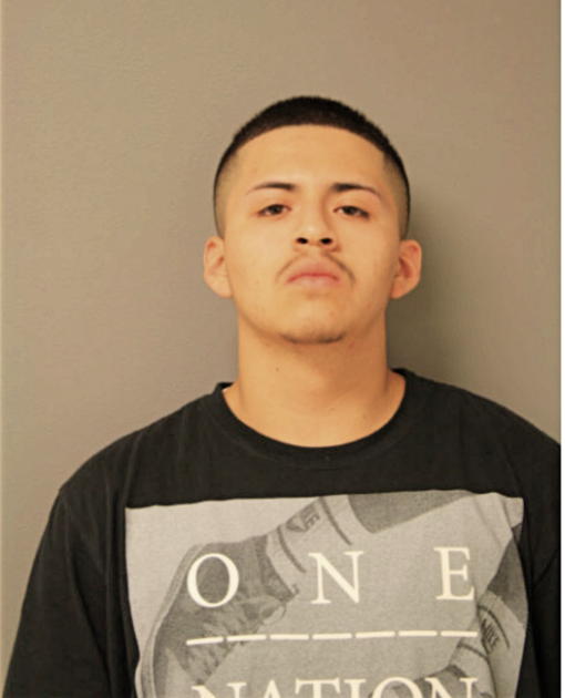 JOEL E ORTEGA, Cook County, Illinois