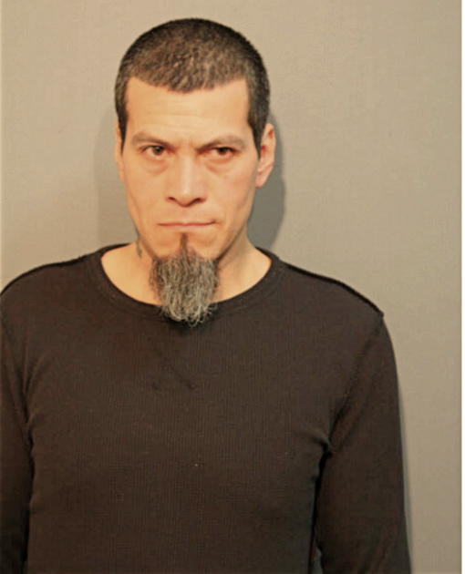 PEDRO ORTIZ-CHAVEZ, Cook County, Illinois