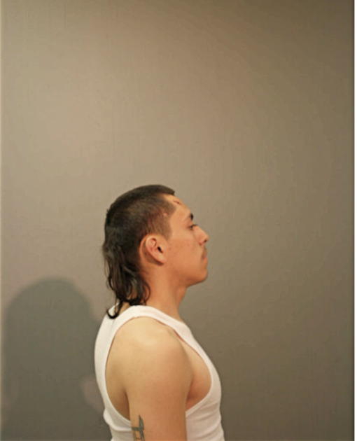 ISMAEL ORTIZ, Cook County, Illinois