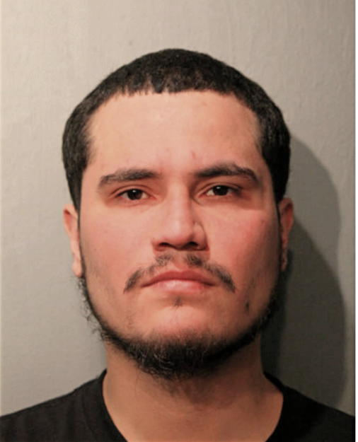 NOEL SANCHEZ, Cook County, Illinois