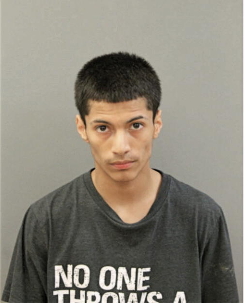 ROMELO M ALVAREZ, Cook County, Illinois