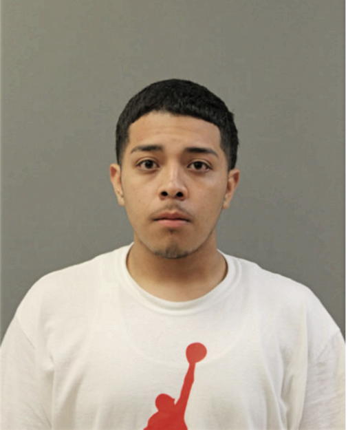 KEVIN AMILPA, Cook County, Illinois