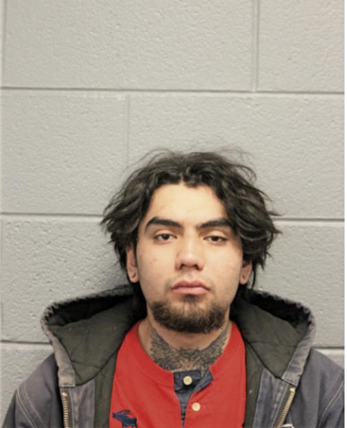 GUILLERMO M ARELLANO, Cook County, Illinois