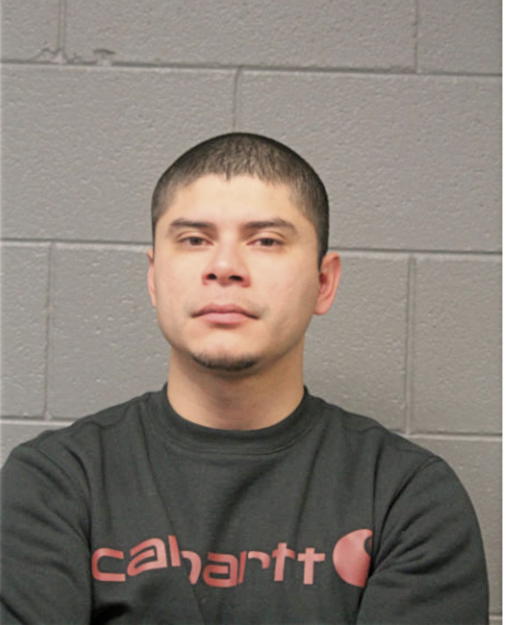 MOISES AREVALO, Cook County, Illinois