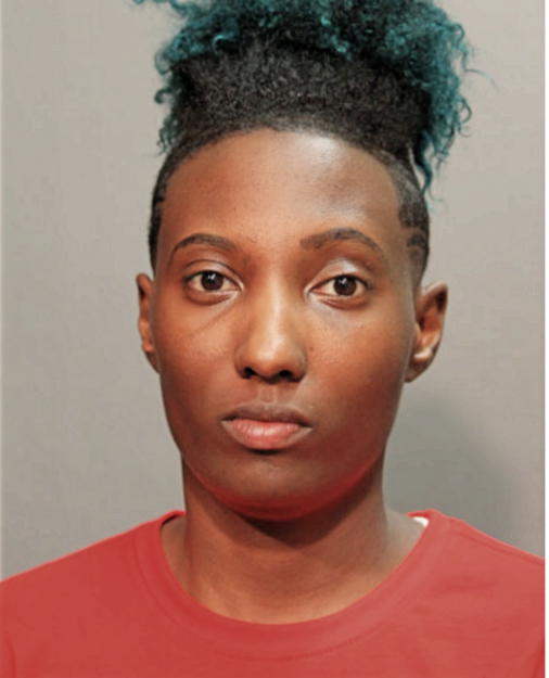 STEPHANIE R BOYD, Cook County, Illinois