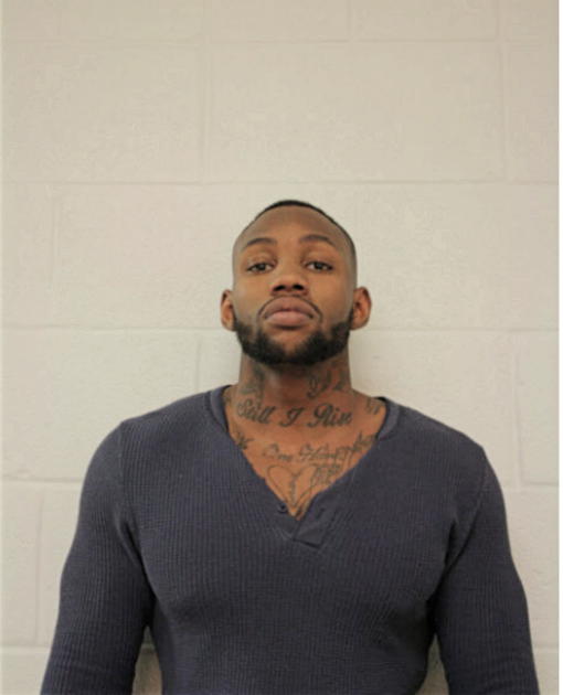 CHRISTOPHER S BREWER, Cook County, Illinois