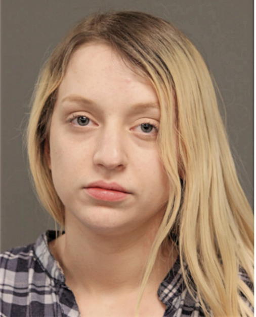 STEPHANIE L BRONNER, Cook County, Illinois