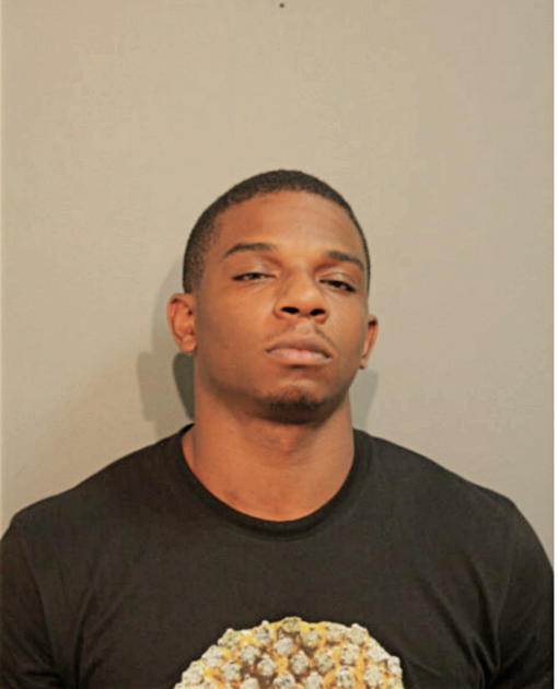 TIMOTHY T CHRISTAIN, Cook County, Illinois