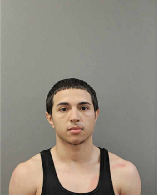 ANGEL M COLON, Cook County, Illinois