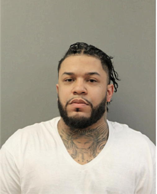 ANDRE DEJESUS, Cook County, Illinois