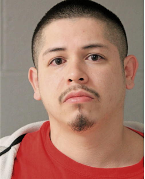 ALEJANDRO DIAZ, Cook County, Illinois