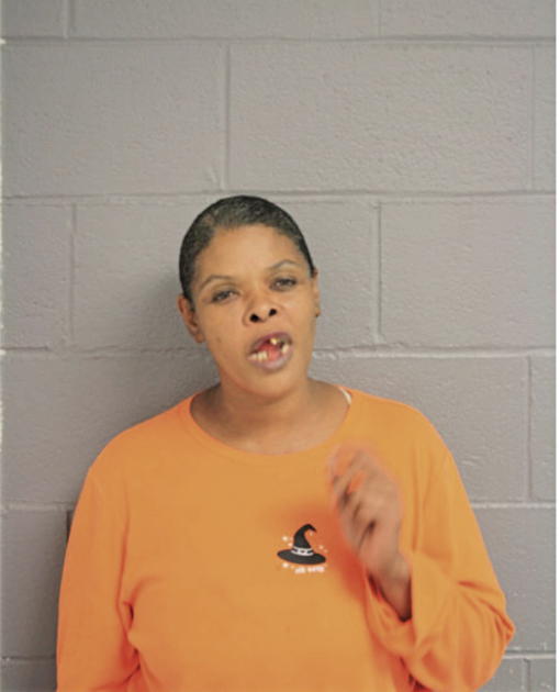 DOROTHY L EVANS, Cook County, Illinois