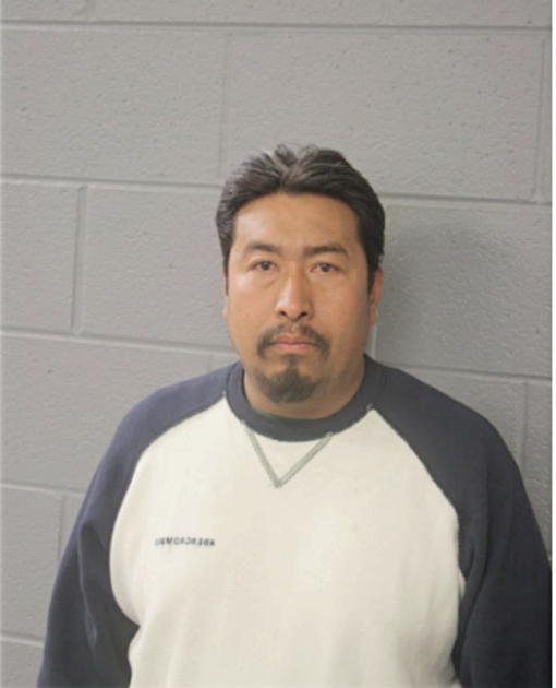 CARLOS GONZALEZ-MATAMOROS, Cook County, Illinois