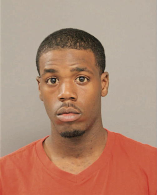 BRANDON P JOHNSON, Cook County, Illinois