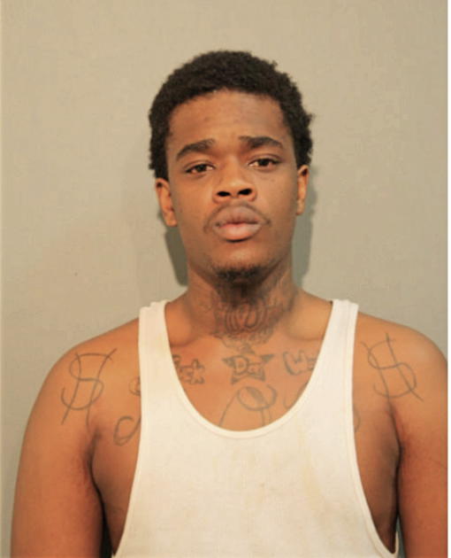 DONOVAN R JOHNSON, Cook County, Illinois