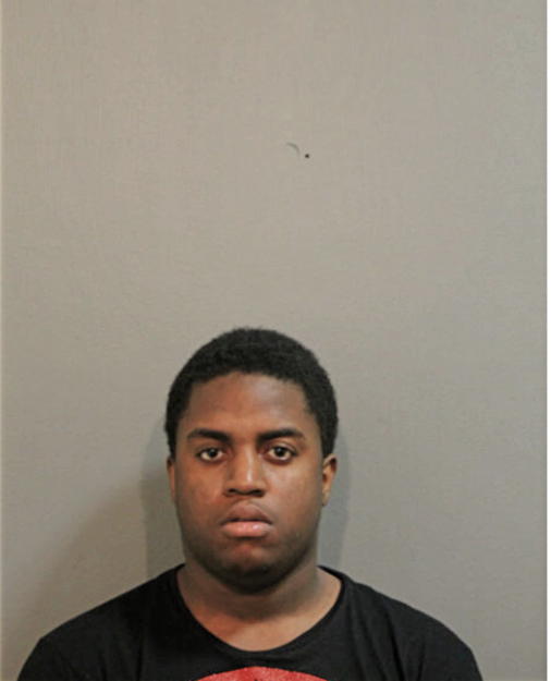 JAVAN M JOHNSON, Cook County, Illinois