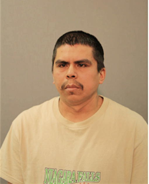 ROBERTO LAGUNAS, Cook County, Illinois