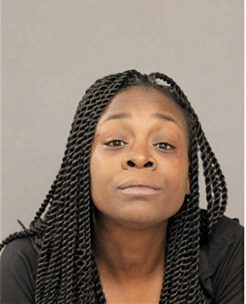 TIESHA N LANE, Cook County, Illinois