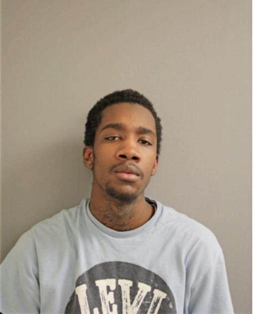 DEMETRIUS D LITTLE, Cook County, Illinois