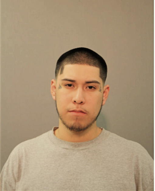 STEVEN MASTACHE-VEGA, Cook County, Illinois