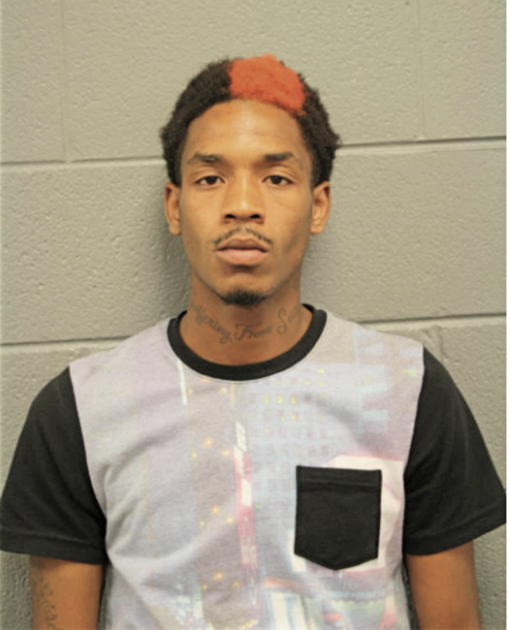 MICHAEL MCGEE, Cook County, Illinois