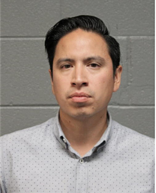 CESAR A MENA, Cook County, Illinois