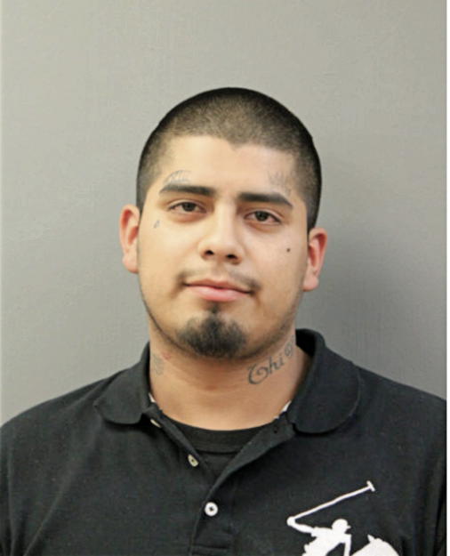 DOMINGO MENDOZA, Cook County, Illinois