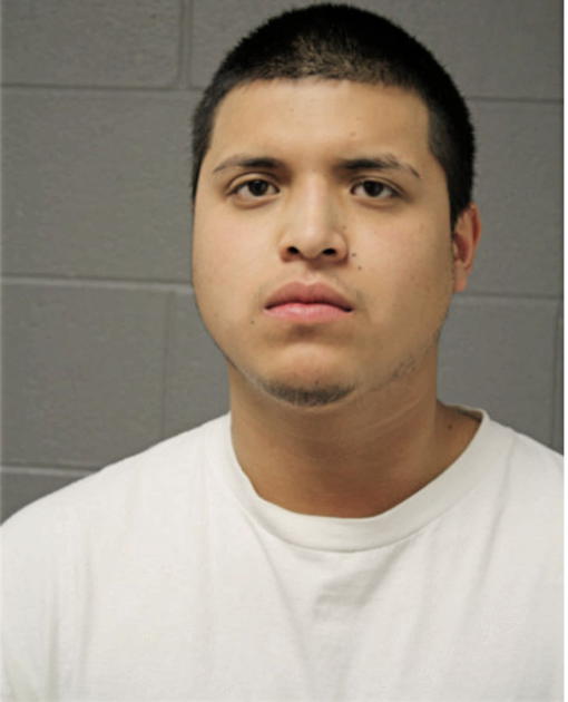 ANGEL E MORENO, Cook County, Illinois