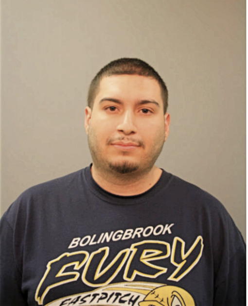 LUIS P NAVA, Cook County, Illinois