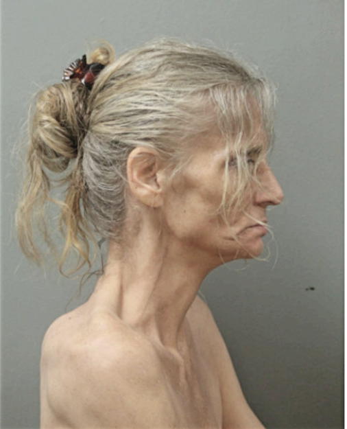 JULIE RADCLIFFE, Cook County, Illinois