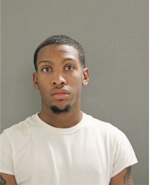 JABRICE K REESE, Cook County, Illinois