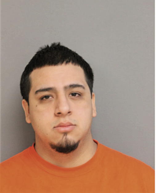 DAVID ALFREDO ROMAN, Cook County, Illinois