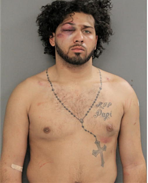 JULIAN M SOTO, Cook County, Illinois