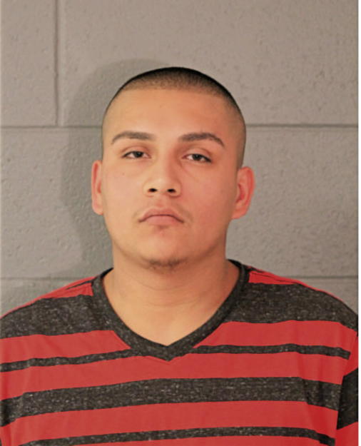 OSCAR I SOTO, Cook County, Illinois