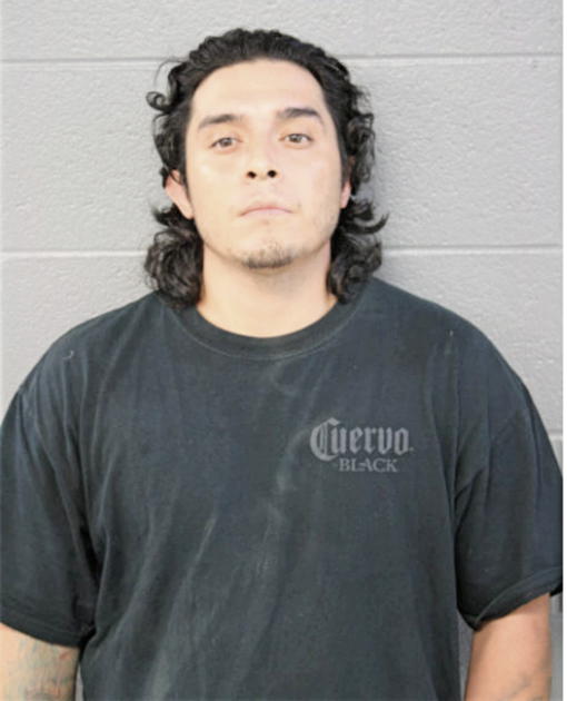 FABIAN VILLAGOMEZ, Cook County, Illinois