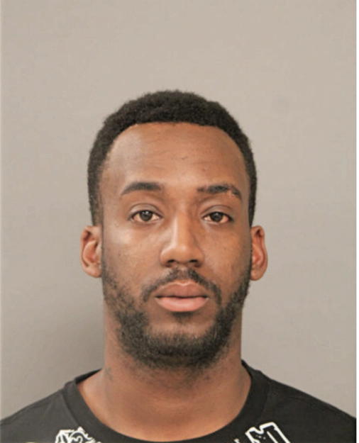 DARRIEN J WATSON, Cook County, Illinois