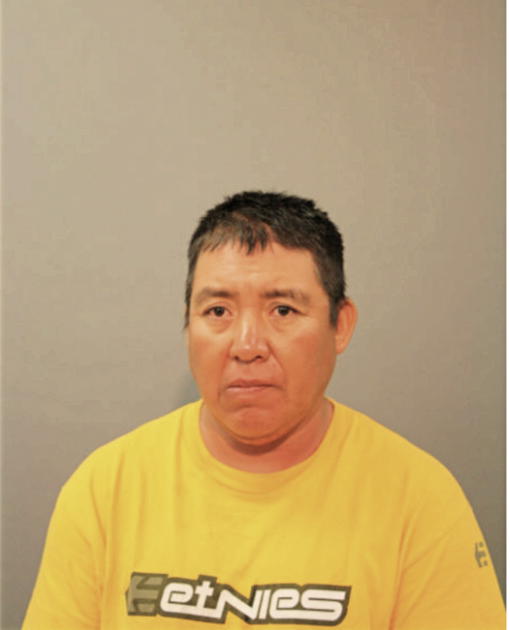 GERMAN ALARCON, Cook County, Illinois