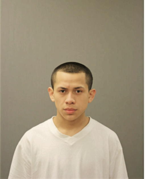 DANIEL M ALCANTARA, Cook County, Illinois