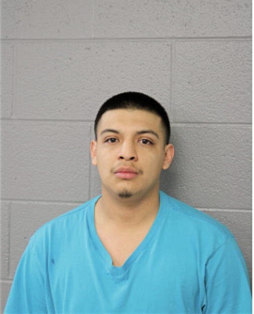 ERNESTO B OVIEDO, Cook County, Illinois