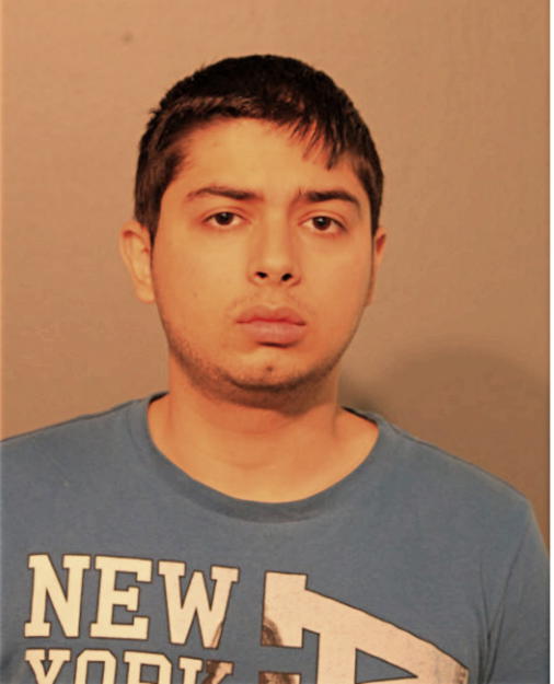 NISHAN K BHATT, Cook County, Illinois