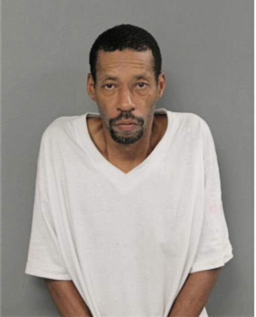 DAVID L BROWN, Cook County, Illinois